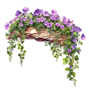 25 Fioletowy Rock Cress Clipart, Fioletowe Kwiaty, Fioletowy Kwiat, Wysokiej Jakości Przezroczysty PNG, Junk Journals, Pobieranie Cyfrowe, Wykorzystanie Komercyjne