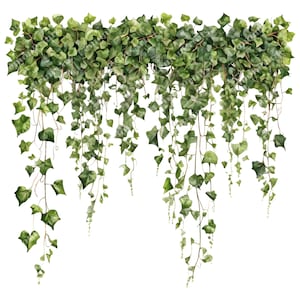 25 Ivy Vines Clipart, Paquete de imágenes prediseñadas de hiedra de acuarela, PNG transparente de alta calidad, Revistas basura artesanales de papel Descarga digital Uso comercial