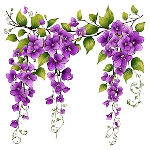 50 lebendige lila Blumen Clipart, heiße lila Blumen PNG, lebendige Blüten, lila Blumen Hochzeit Clipart, Aquarell Blumen, kommerzielle Nutzung