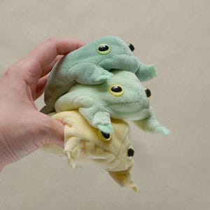 May include: A stack of three small plush frog toys in shades of sage green, mint green, and pale yellow. Each frog features a soft, fuzzy texture, small limbs, and prominent black and yellow plastic eyes. The toys are held together in a vertical column.