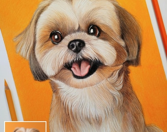 Custom Pet Memorial Portrait from Photo, Hand Drawn Colored Pencil Pet Drawing, Dog Cat Rainbow Bridge Gift, Personalized Pet Loss Artwork