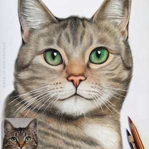 May include: A colored pencil drawing of a tabby cat with green eyes, a pink nose, and white whiskers. The artwork features a small reference photo of the cat in the bottom left corner and two colored pencils resting on the bottom right side.