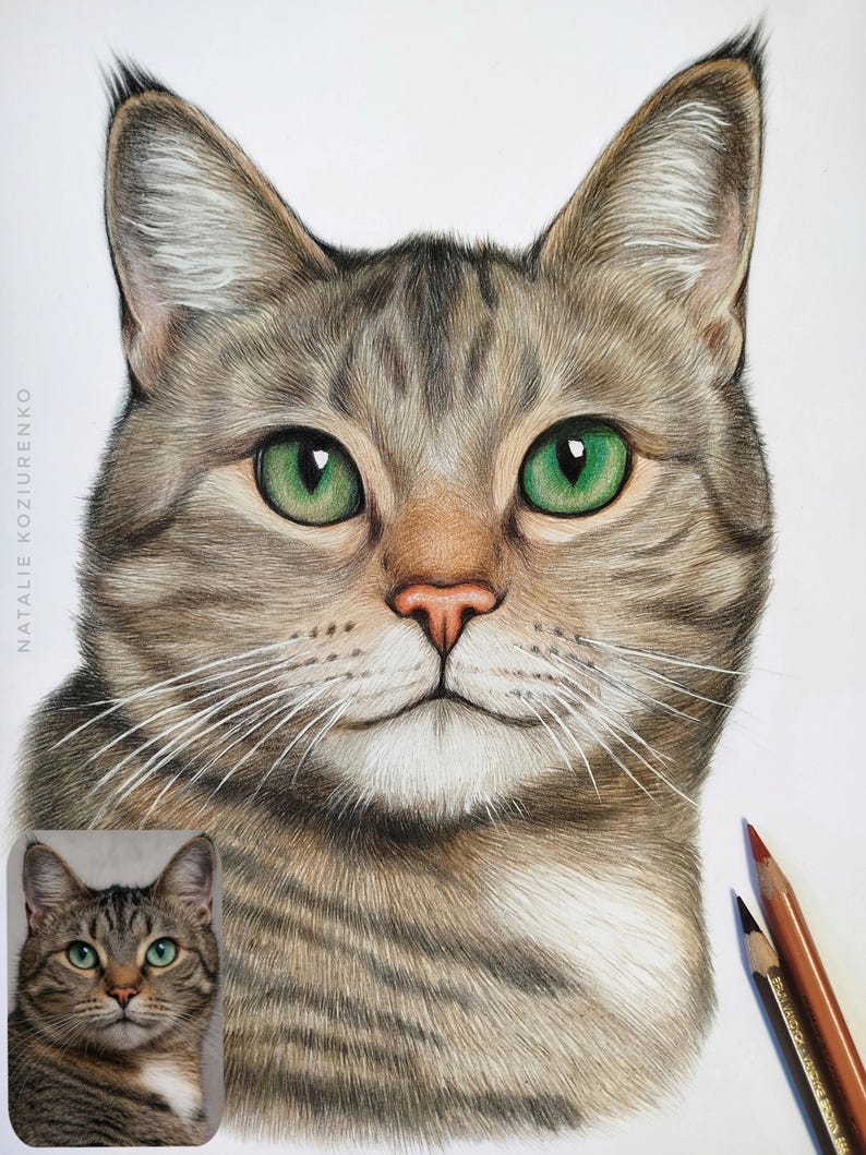 May include: A colored pencil drawing of a tabby cat with green eyes, a pink nose, and white whiskers. The artwork features a small reference photo of the cat in the bottom left corner and two colored pencils resting on the bottom right side.