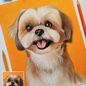 May include: A colored pencil drawing of a Shih Tzu dog with brown and white fur against a vibrant orange background. The dog has large dark eyes, a black nose, and an open mouth showing a pink tongue. The artist's name, Natalie Koziurenko, is visible.