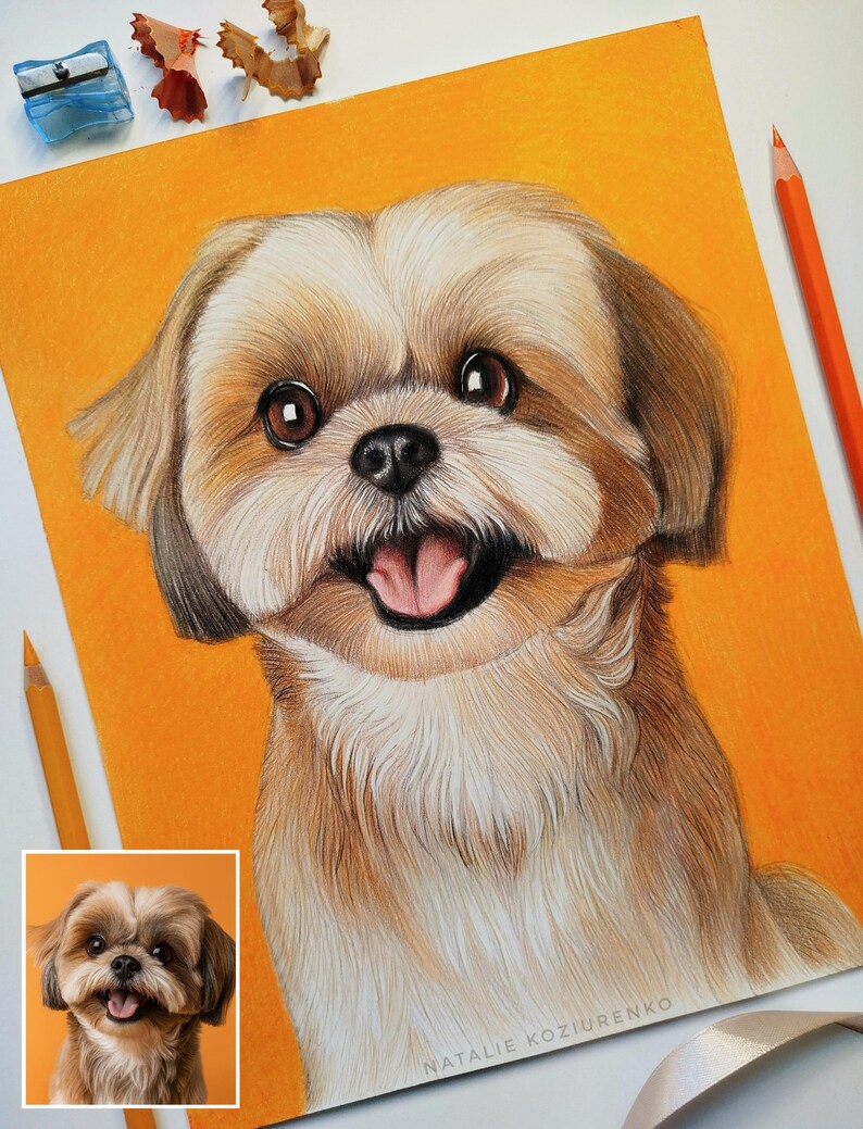 May include: A colored pencil drawing of a Shih Tzu dog with brown and white fur against a vibrant orange background. The dog has large dark eyes, a black nose, and an open mouth showing a pink tongue. The artist's name, Natalie Koziurenko, is visible.