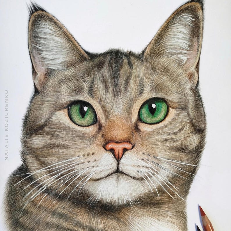 May include: A detailed colored pencil drawing of a tabby cat with striking green eyes, a pink nose, and white whiskers. The cat has brown and grey fur with dark stripes. The text NATALIE KOZIURENKO is printed vertically on the left side.