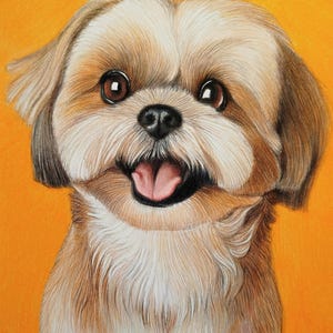 May include: A colored pencil drawing of a Shih Tzu dog with tan and white fur, large dark brown eyes, and a black nose. The dog has an open mouth showing a pink tongue, and the portrait is set against a solid, vibrant orange background.