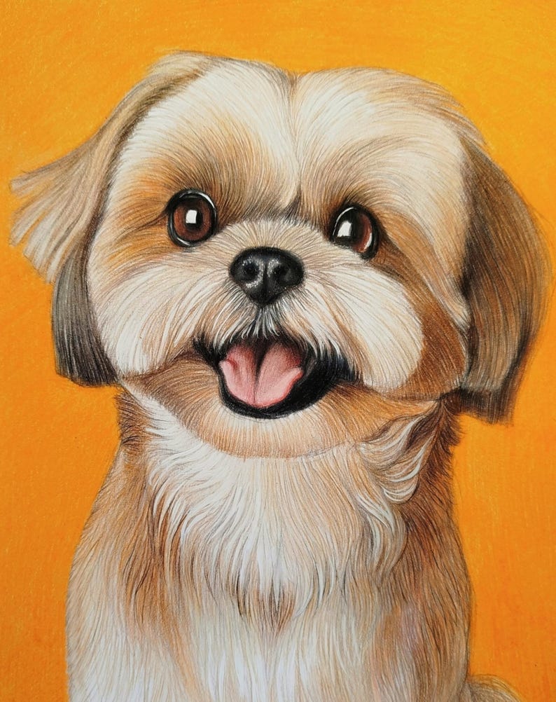 May include: A colored pencil drawing of a Shih Tzu dog with tan and white fur, large dark brown eyes, and a black nose. The dog has an open mouth showing a pink tongue, and the portrait is set against a solid, vibrant orange background.