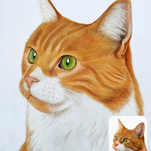 May include: A detailed colored pencil drawing of an orange and white cat with bright green eyes, shown in profile. The artwork features fine fur texture and includes a smaller reference photo of the cat in the bottom right corner with the text NATALIE KOZIURENKO.