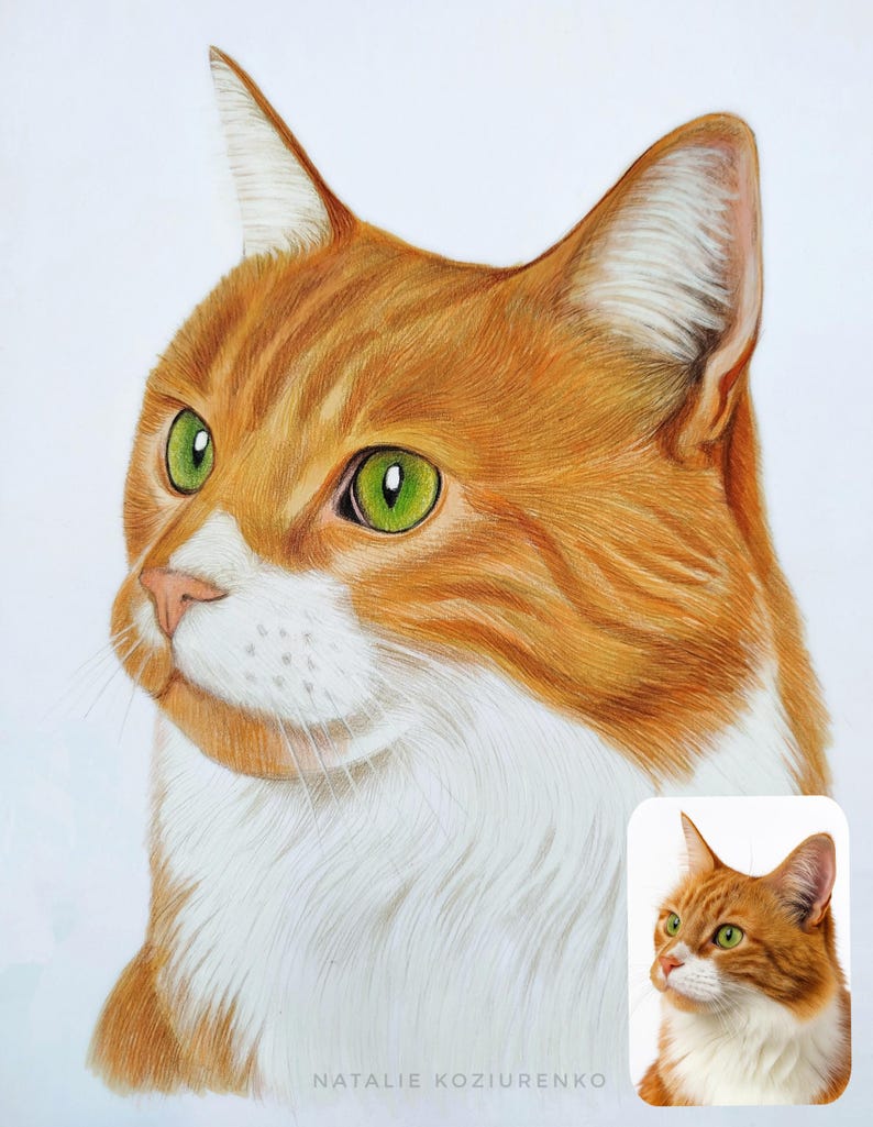 May include: A detailed colored pencil drawing of an orange and white cat with bright green eyes, shown in profile. The artwork features fine fur texture and includes a smaller reference photo of the cat in the bottom right corner with the text NATALIE KOZIURENKO.