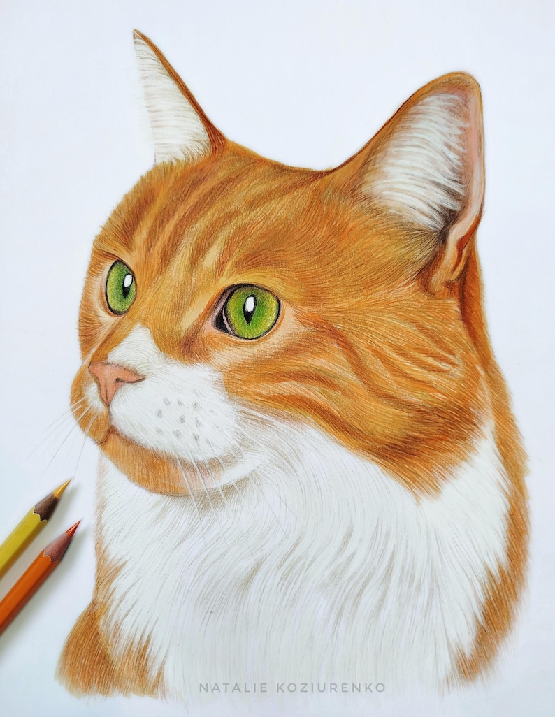 Custom Pet Portrait From Photo Colored Pencil Pet Drawing Personalized Cat Portrait Hand Drawn Dog Sketch Pet Memorial Gift Dog Lover Gift image 2