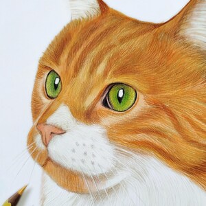 May include: A colored pencil drawing of a ginger and white cat with bright green eyes. The cat is shown from the chest up, facing slightly to the left. Two colored pencils are visible in the bottom left corner of the white paper surface.