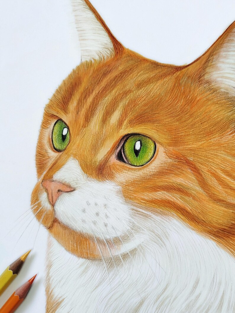 May include: A colored pencil drawing of a ginger and white cat with bright green eyes. The cat is shown from the chest up, facing slightly to the left. Two colored pencils are visible in the bottom left corner of the white paper surface.