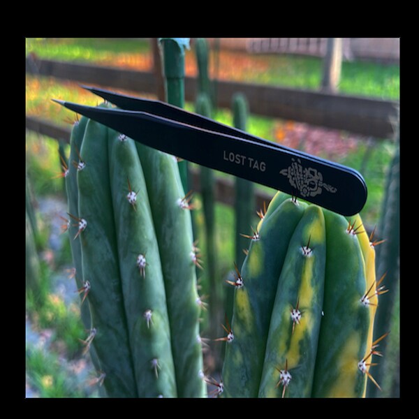 Precision Cactus Spine Removal Tweezers
