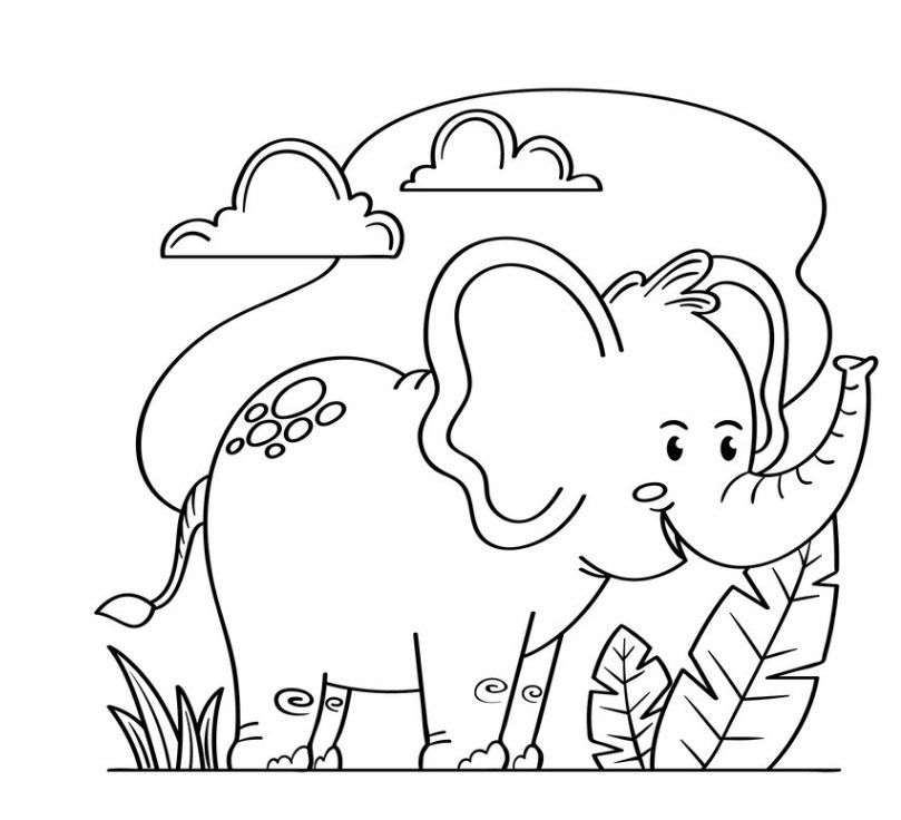 Coloring Pages With Animals PDF Coloring Pages With Animals for