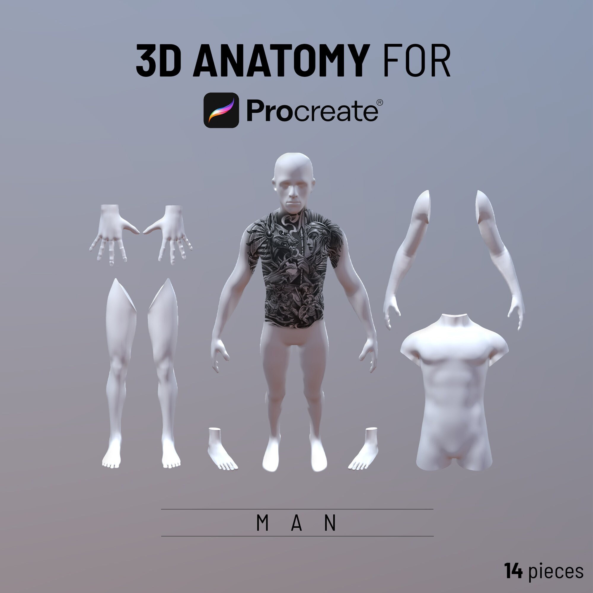 Procreate 3D Object Models, , 3D Man Model, 3D Arm Model, 3D Leg Model, 3D Torso, Procreate 3D