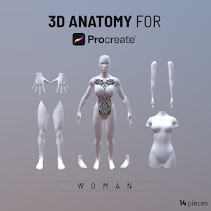 Procreate objet 3D, anatomie 3D pour procréer, modèle 3D de bras, modèle 3D de jambe, torse 3D, procreate modèle 3D féminin, modèle de tatouage, maquette de tatouage