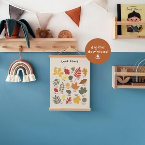 Impresión de gráfico de hojas, póster de hojas educativas, impresión de tipos de hojas, descarga digital, póster de aula imprimible, decoración de escuela en casa Montessori,
