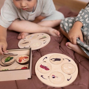 Casse-tête Cycle de vie, matériel pédagogique Montessori pour enfants d'âge préscolaire, ressources pédagogiques en biologie, jeu éducatif Waldorf