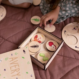 Puzzle Montessori sul ciclo di vita con scatola, pacchetto per l'apprendimento delle scienze in età prescolare, materiali di biologia per la scuola a casa, risorse per l'insegnante per l'apprendimento degli insetti