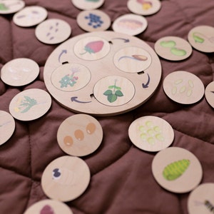 Montessori Vorschule Lernlebenszyklus Puzzle, hölzerne Karteikarten, Insekten Lernaktivität, Homeschooling Ressourcen für Kleinkinder