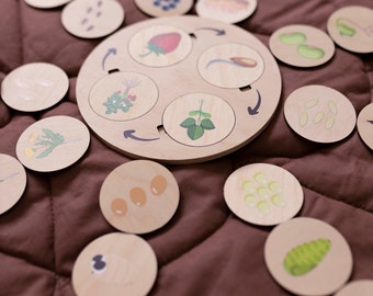 Montessori Life Cycle Puzzle: Wooden Learning Activity for Toddlers