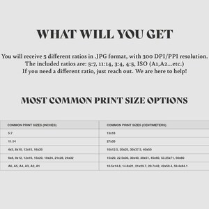 May include: A chart showing common print sizes in inches and centimetres for different aspect ratios, including 5:7, 11:14, 3:4, 4:5, and ISO. The text "WHAT WILL YOU GET" is at the top of the chart. The text "MOST COMMON PRINT SIZE OPTIONS" is below the chart.