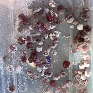 May include: A collection of raw, uncut gemstones in varying shades of red, purple, and white. The stones are scattered within a clear plastic container, some coated with a white powder. The gemstones have a rough, natural texture.