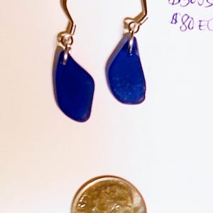 Earrings: Cobalt blue sea glass on stainless steel rings