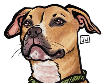 May include: A cartoon illustration of a brown and white dog with a green collar. The dog has a black nose and brown eyes. The dog is looking up and to the right. The artist's initials "J.W." are in the bottom right corner of the image.