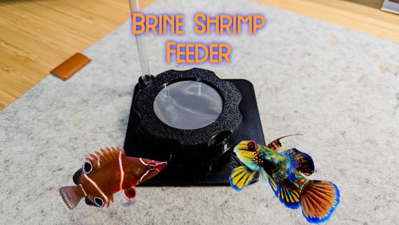 Mandarin Fish Feeder Feed Live Baby Brine Shrimp to Copepod Eater