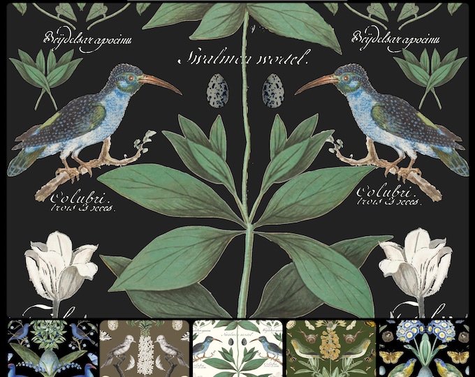 ABUNDANCE COLLECTION WALLPAPER  * 01-107 * White Tulips on Black * 12x18 Repeat