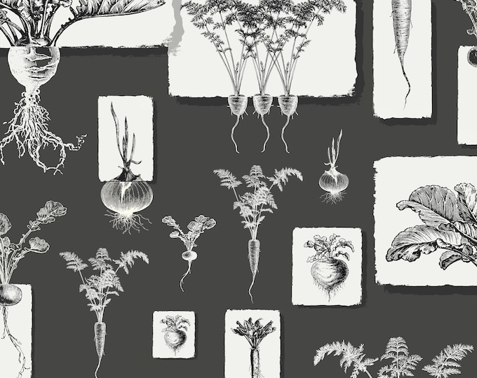 FARMHOUSE COLLECTION WALLPAPER *  Root Vegetables on Paper Scraps in Iron Ore * 24x24 repeat