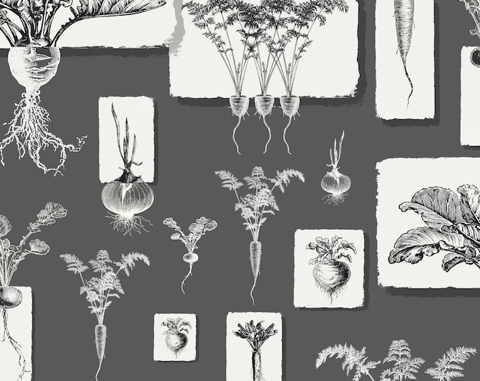 FARMHOUSE COLLECTION WALLPAPER *  Root Vegetables on Paper Scraps in Charcoal * 24x24 repeat