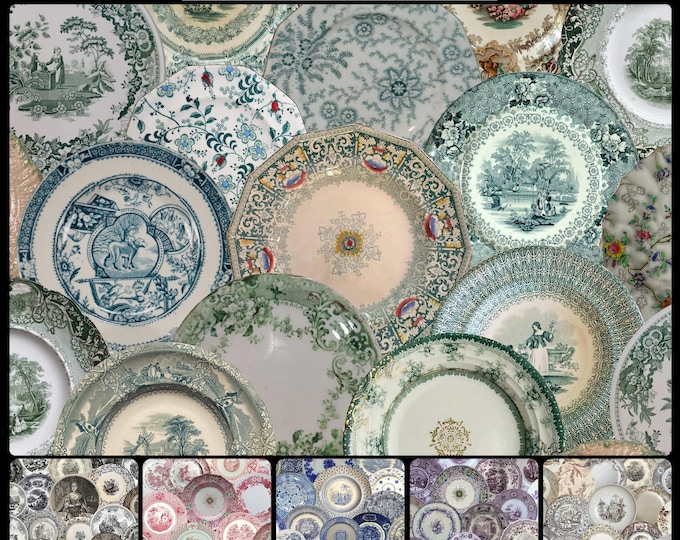 ALL DISHED UP Wallpaper Collection * 07-103 * Antique English Transferware Wallpaper * Spruce