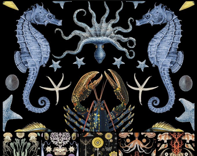 ABUNDANCE OCEANA COLLECTION * 12-101 * 12X18 repeat * Blue colorway