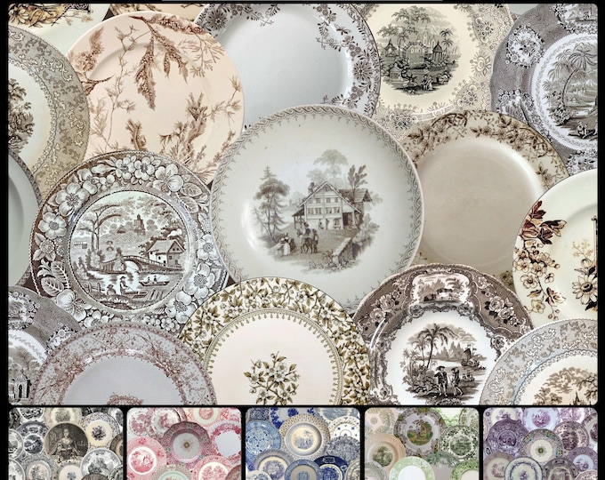 ALL DISHED UP Wallpaper Collection * 07-105 * Antique English Transferware Wallpaper * Brown