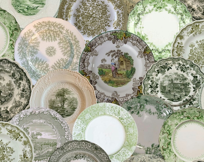 ALL DISHED UP Wallpaper Collection * Antique English Transferware Wallpaper * Avocado