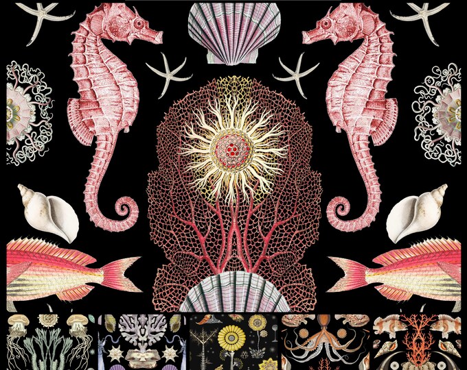 ABUNDANCE OCEANA COLLECTION * 12-103 * 12X18 repeat  * Pink Colorway