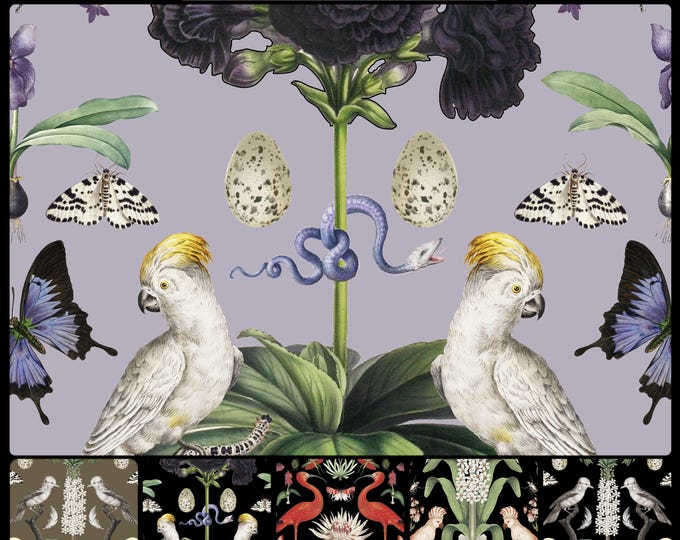 ABUNDANCE COLLECTION WALLPAPER  * 01-113B * Purple Passion Parrots on Lavender * 12x18 Repeat