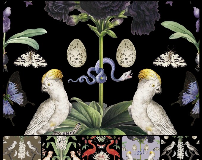 ABUNDANCE COLLECTION WALLPAPER  * 01-113A * Purple Passion Parrots on Black * 12x18 Repeat