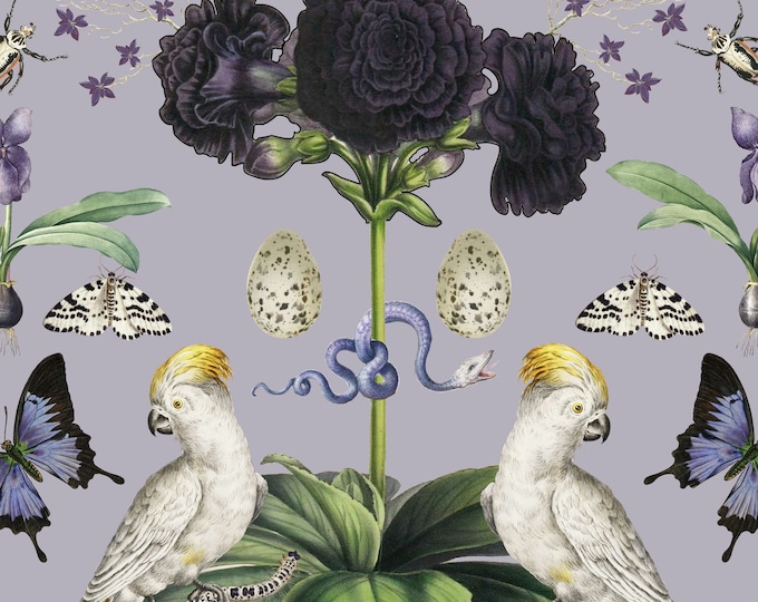 ABUNDANCE COLLECTION WALLPAPER  * Parrots on Lavender * 12x18 Repeat