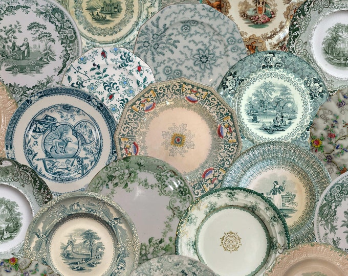 ALL DISHED UP Wallpaper Collection * Antique English Transferware Wallpaper
