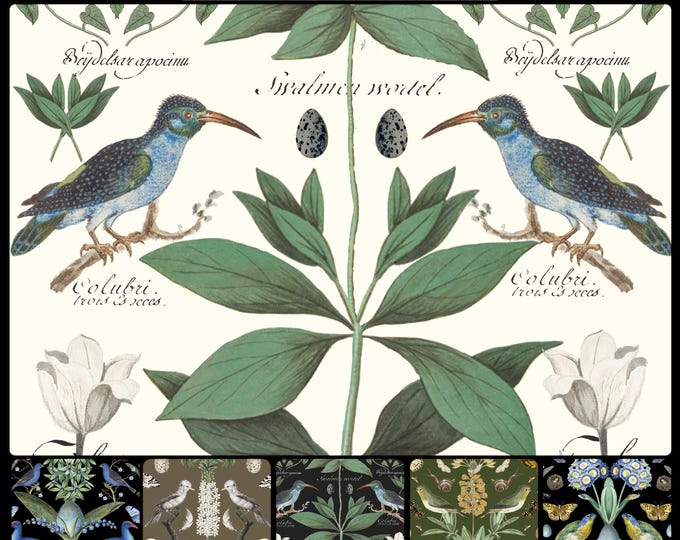 ABUNDANCE COLLECTION WALLPAPER  * 01-108 * White Tulips on White* 12x18 Repeat