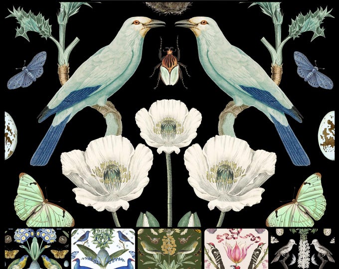 ABUNDANCE COLLECTION WALLPAPER  * 01-106 * White Poppy * 12x18 Repeat