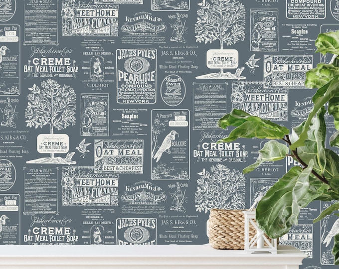 FARMHOUSE COLLECTION * LAUNDRY Daze in 9 Color Ways * 24x24 repeat