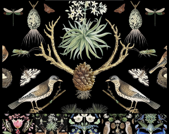 ABUNDANCE COLLECTION WALLPAPER  * 01-112  * Black Crow Manor * 12x18 Repeat