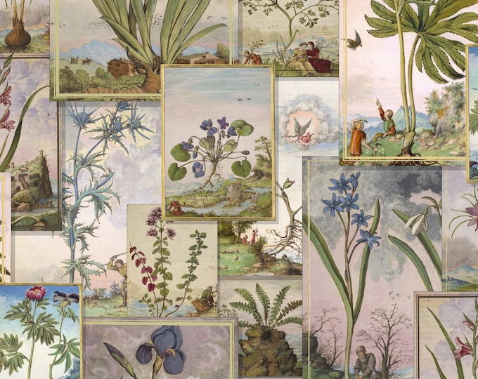 De Materia Medica Collage Wallpaper * 24X24 Repeat