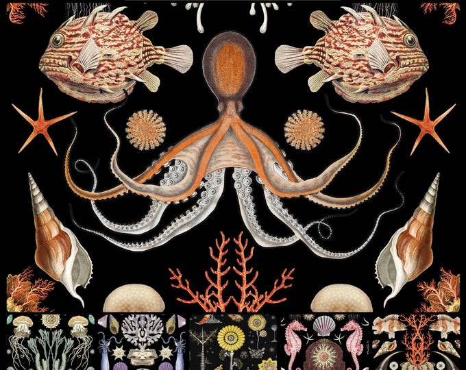 ABUNDANCE OCEANA COLLECTION * 12-102 * 24x36 repeat *Coral colorway