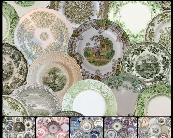 ALL DISHED UP Wallpaper Collection * 07-102 * Antique English Transferware Wallpaper * Avocado